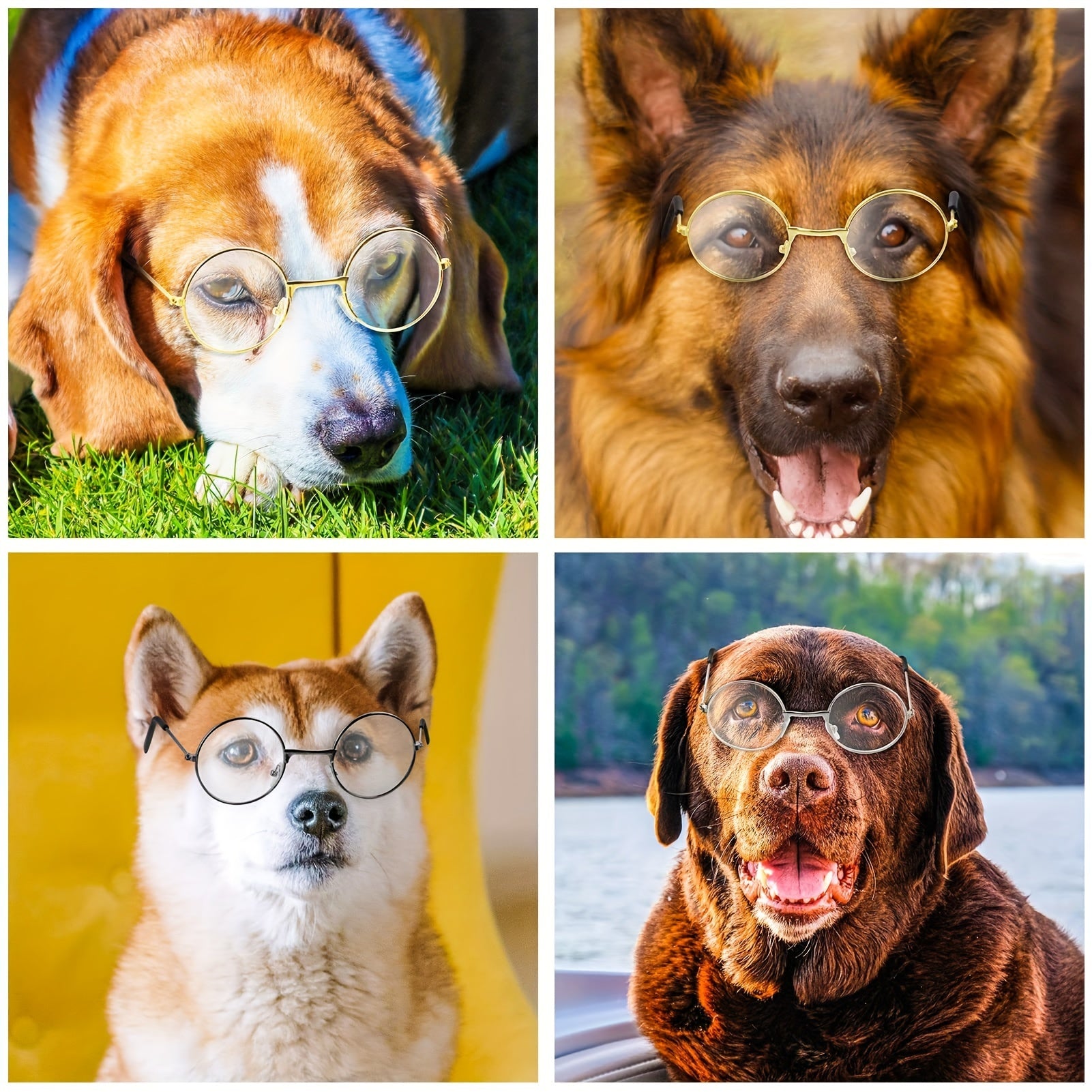 Lot de 3 Lunettes Adorables pour Animaux avec Monture en Fil Métallique & Verres Transparents - Parfaites pour Poupées, Chats, Chiens | Convient aux Poupées de 8\