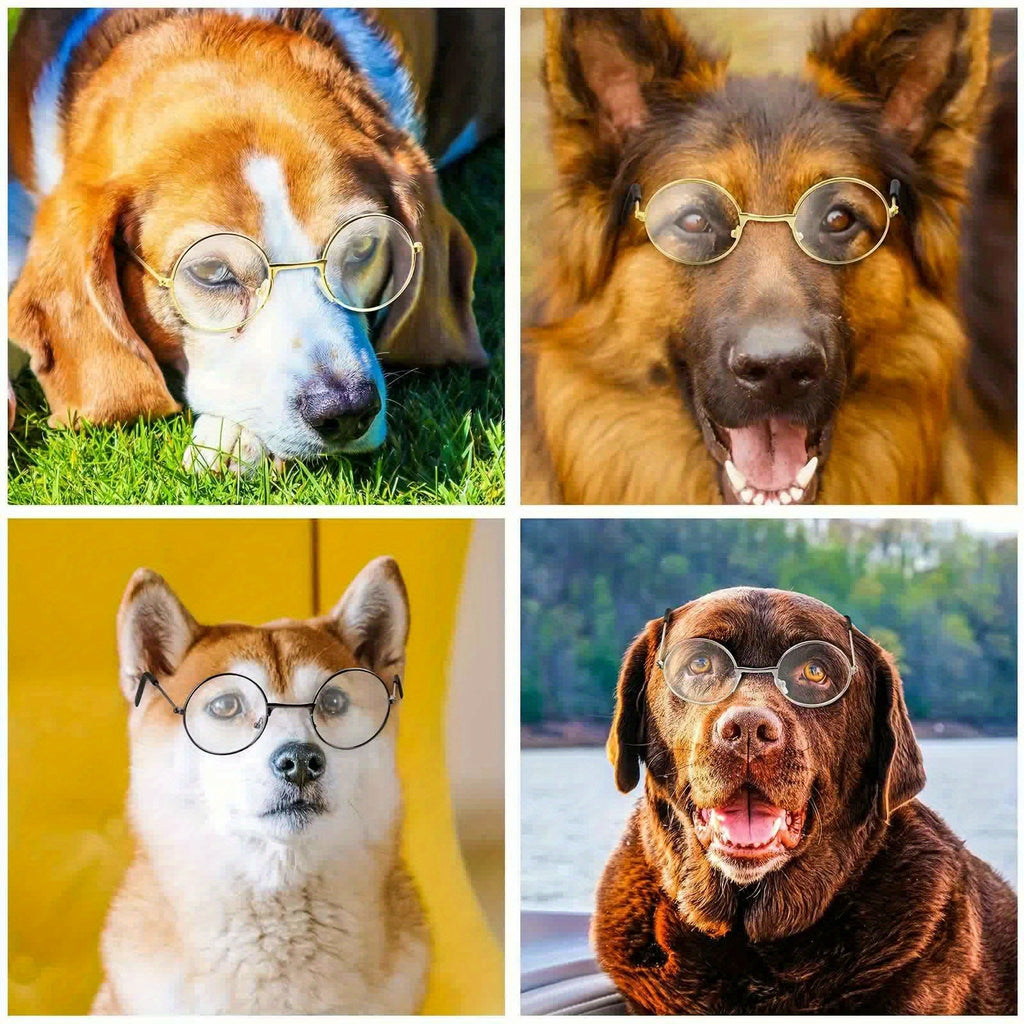 Lot de 3 Lunettes Adorables pour Animaux avec Monture en Fil Métallique & Verres Transparents - Parfaites pour Poupées, Chats, Chiens | Convient aux Poupées de 8\