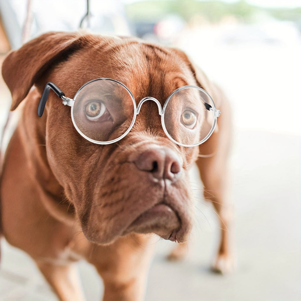 Lot de 3 Lunettes Adorables pour Animaux avec Monture en Fil Métallique & Verres Transparents - Parfaites pour Poupées, Chats, Chiens | Convient aux Poupées de 8\