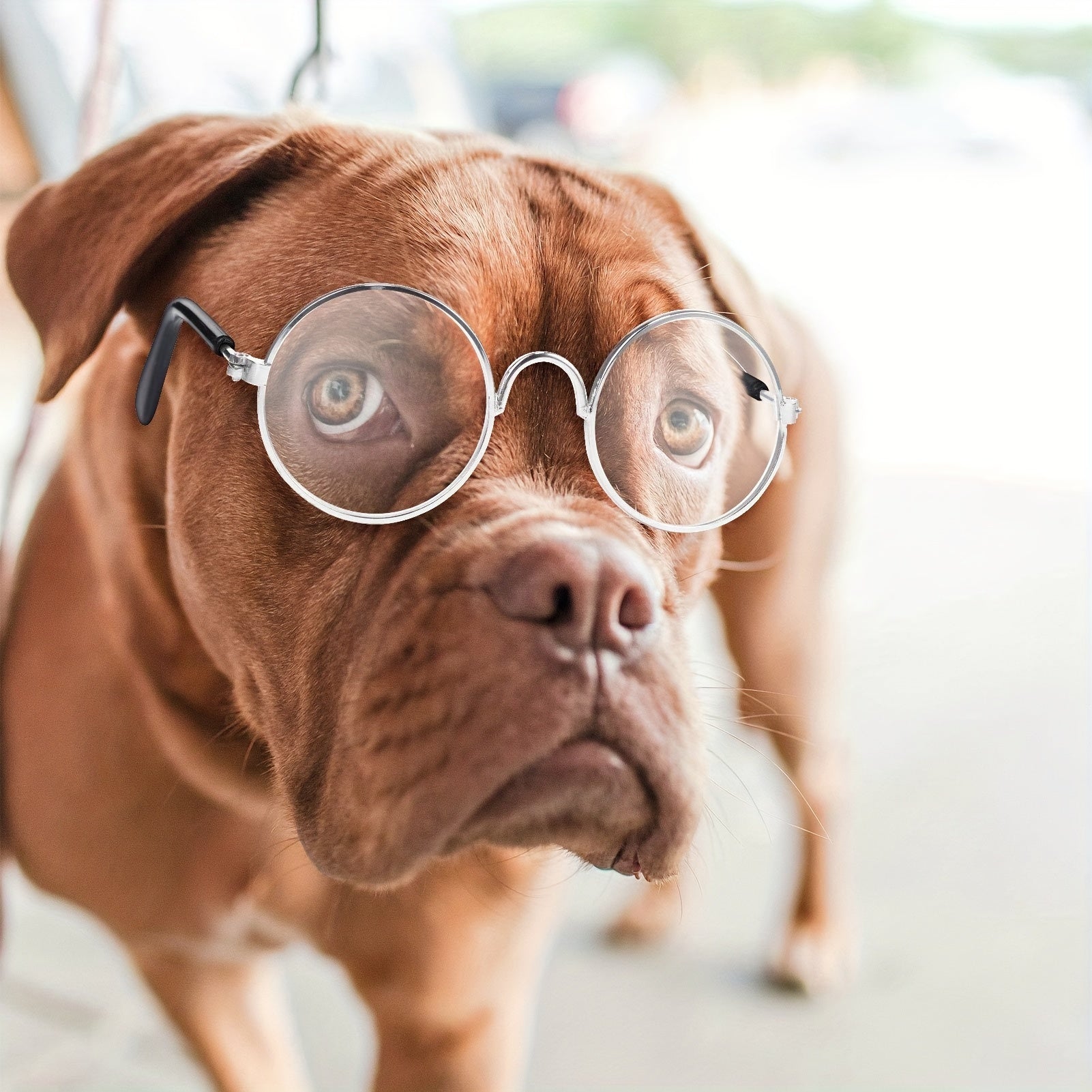 Lot de 3 Lunettes Adorables pour Animaux avec Monture en Fil Métallique & Verres Transparents - Parfaites pour Poupées, Chats, Chiens | Convient aux Poupées de 8\